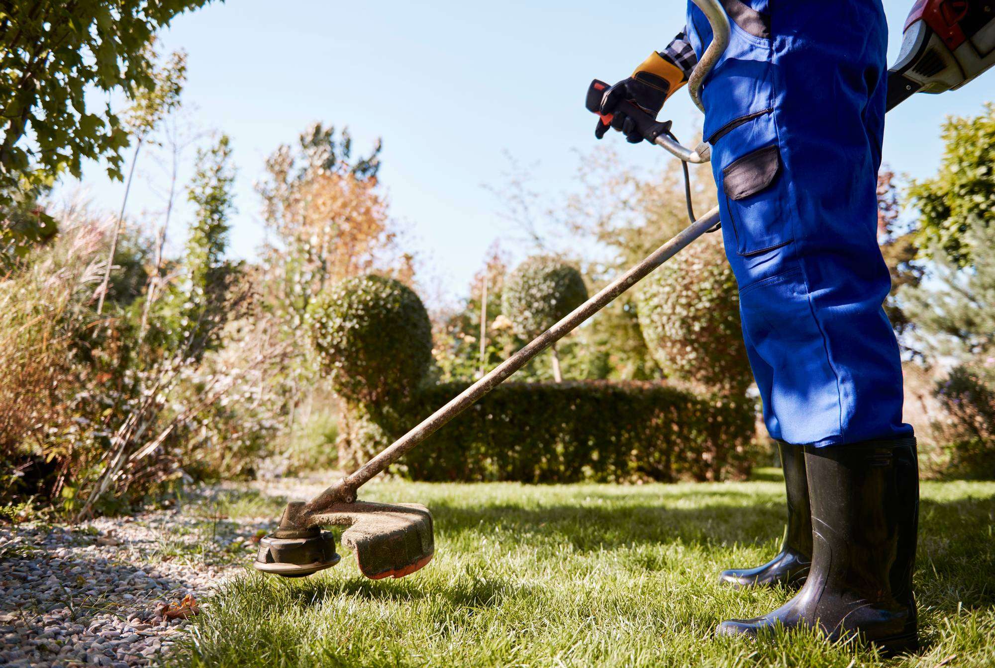 Giardinaggio e manutenzione del verde