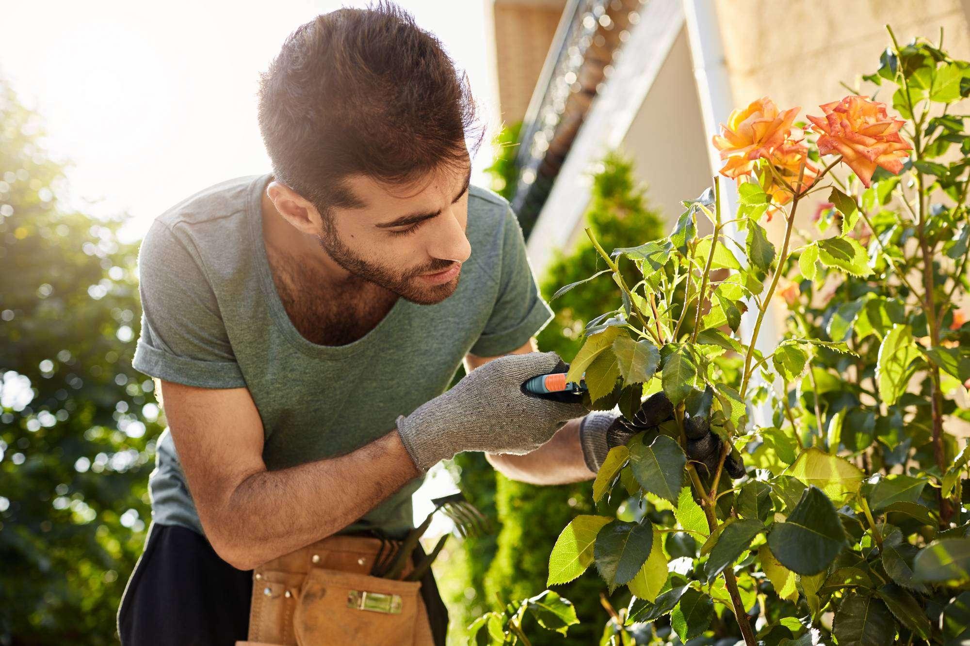 azienda di giardinaggio Desenzano del Garda